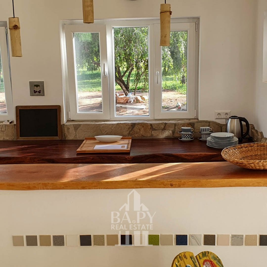 Dos casas y un departamento estilo campestre con 4 ha de terreno - Piribebuy - Imagen 30