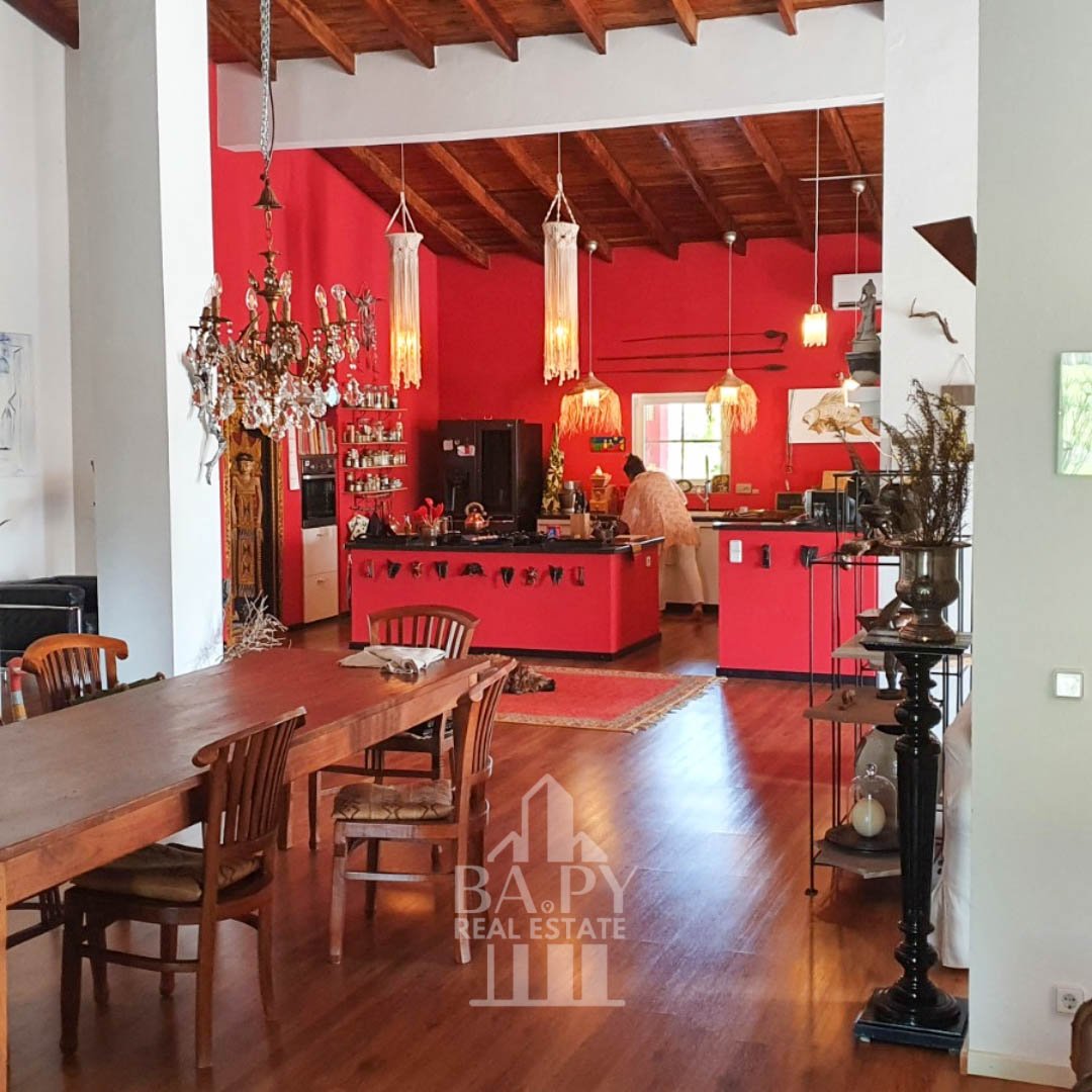 Dos casas y un departamento estilo campestre con 4 ha de terreno - Piribebuy - Imagen 9