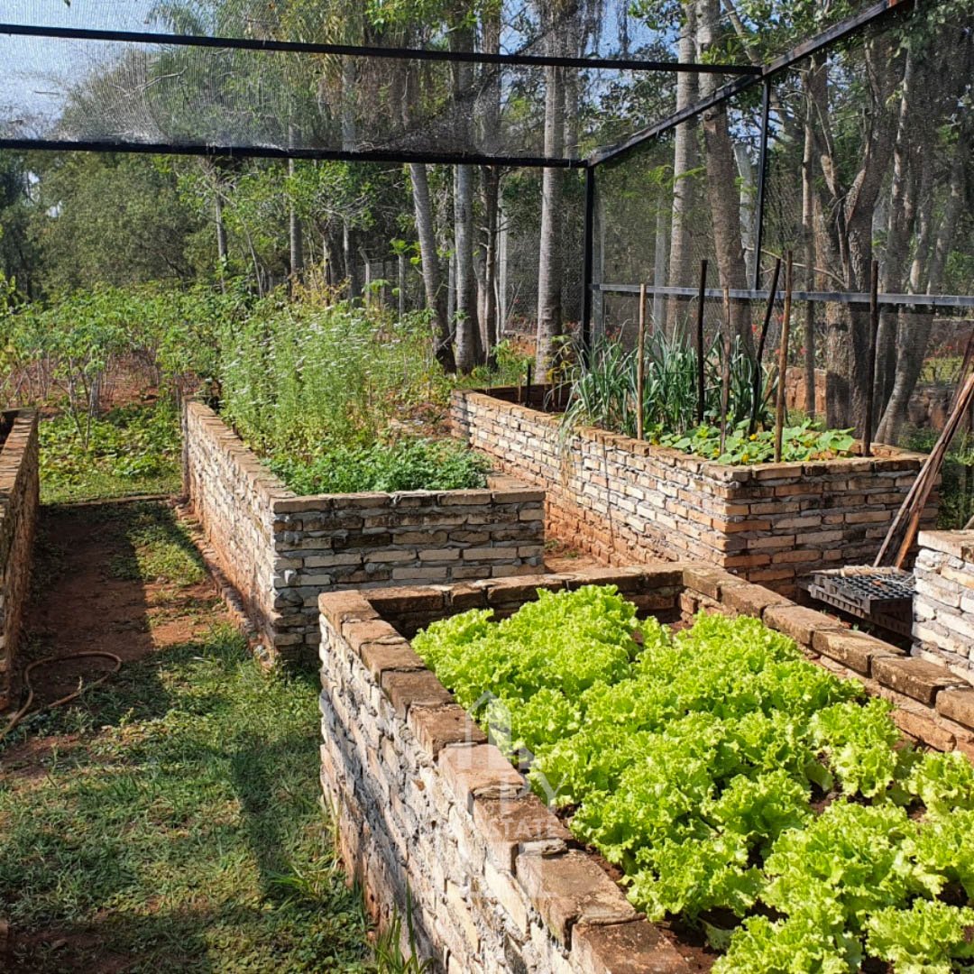 Dos casas y un departamento estilo campestre con 4 ha de terreno - Piribebuy - Imagen 18