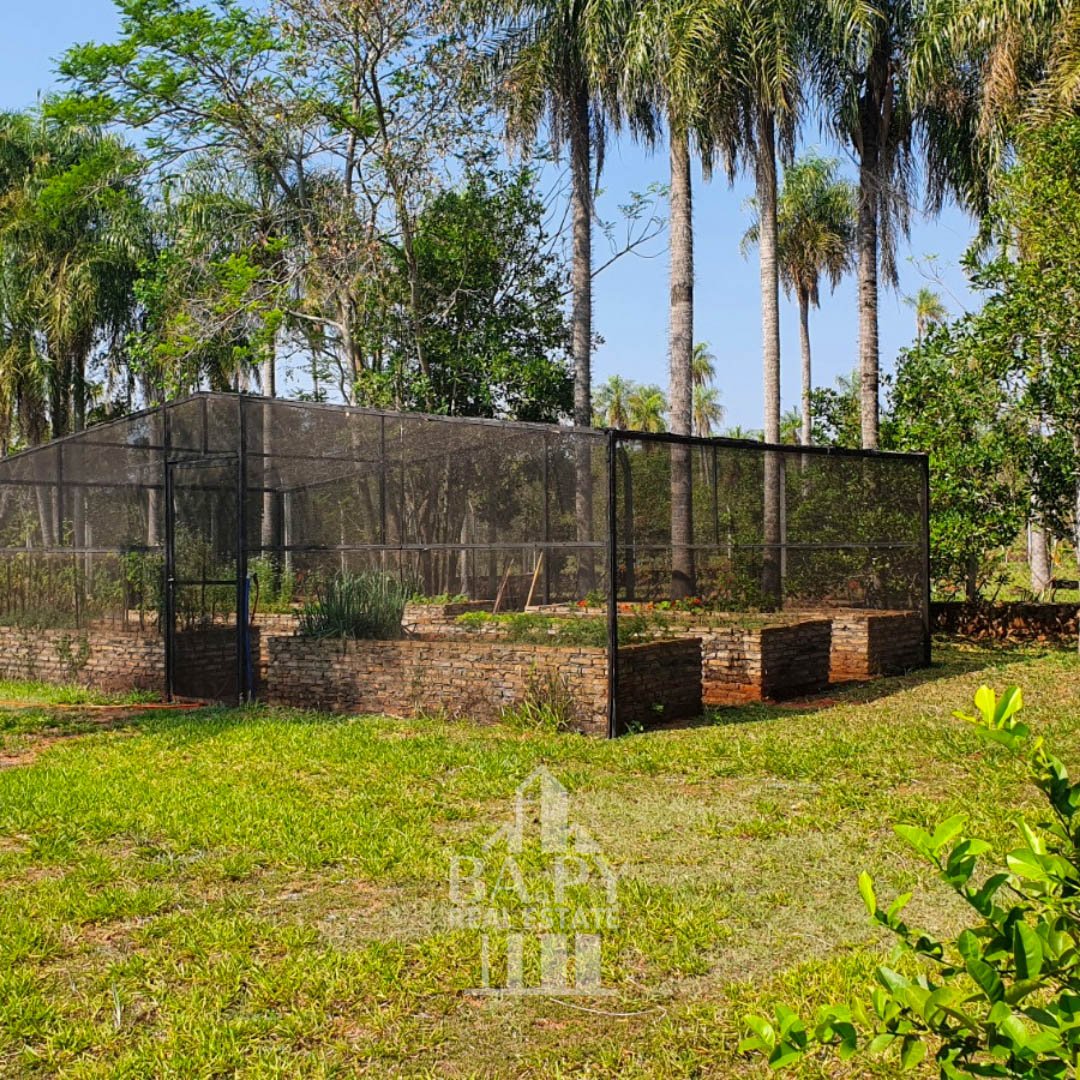 Dos casas y un departamento estilo campestre con 4 ha de terreno - Piribebuy - Imagen 19