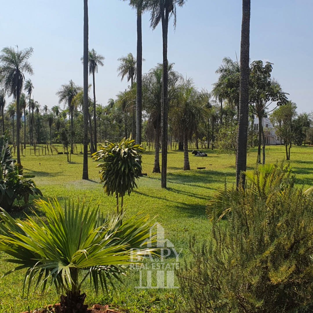 Dos casas y un departamento estilo campestre con 4 ha de terreno - Piribebuy - Imagen 3
